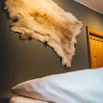 Nordic Lodge - Suite Hotel